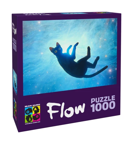Flow_1_puzzle_box_3D_East_web kot.webp