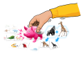Pigasus_box_bottom_illustration.png